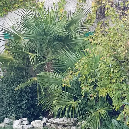 La Maison Malabar فندق مبيت وإفطار *