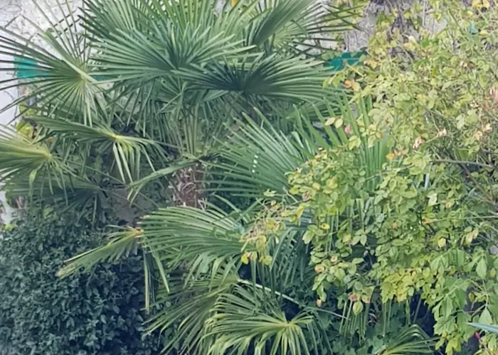 La Maison Malabar Panzió *